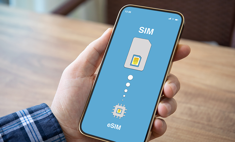 eSIM enabled handset