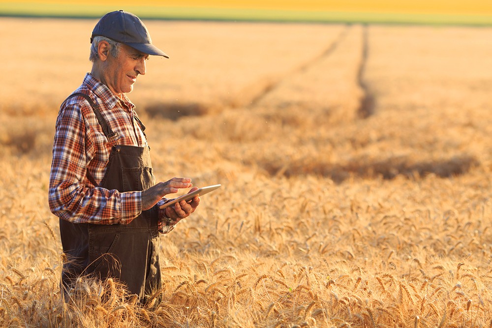 Agriculture
