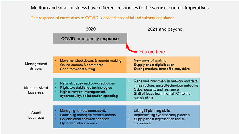Different responses of smbs